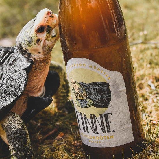 Bio Schildkröten Weizen