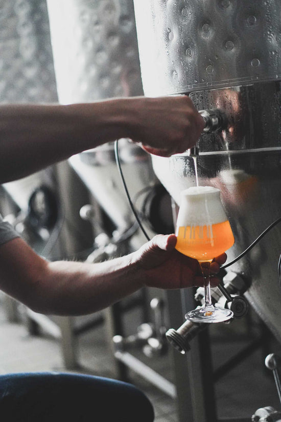 Braukurs inkl. Biertasting